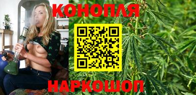 стаф Севастополь