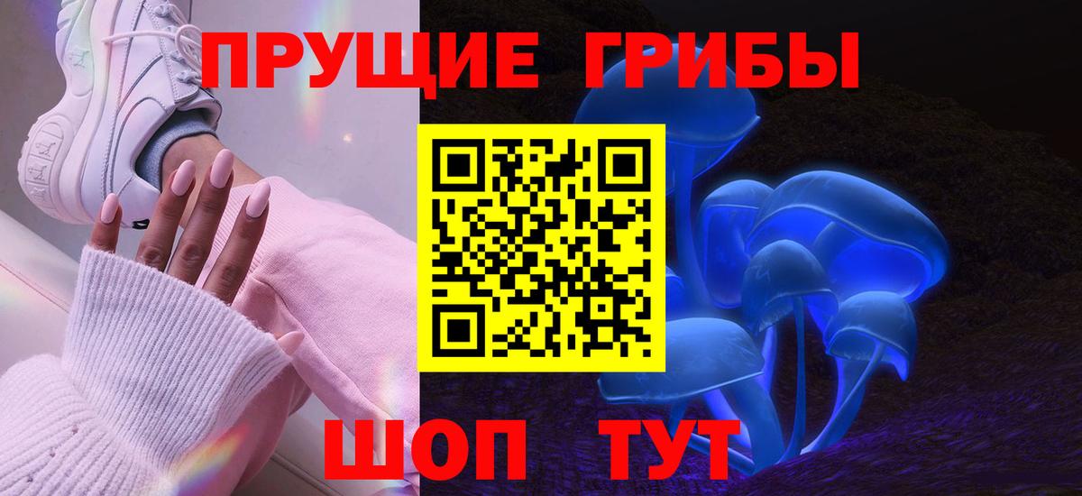 Галлюциногенные грибы Cubensis  Вход с VPN  Острогожск  Псилоцибиновые грибы Psilocybine cubensis 